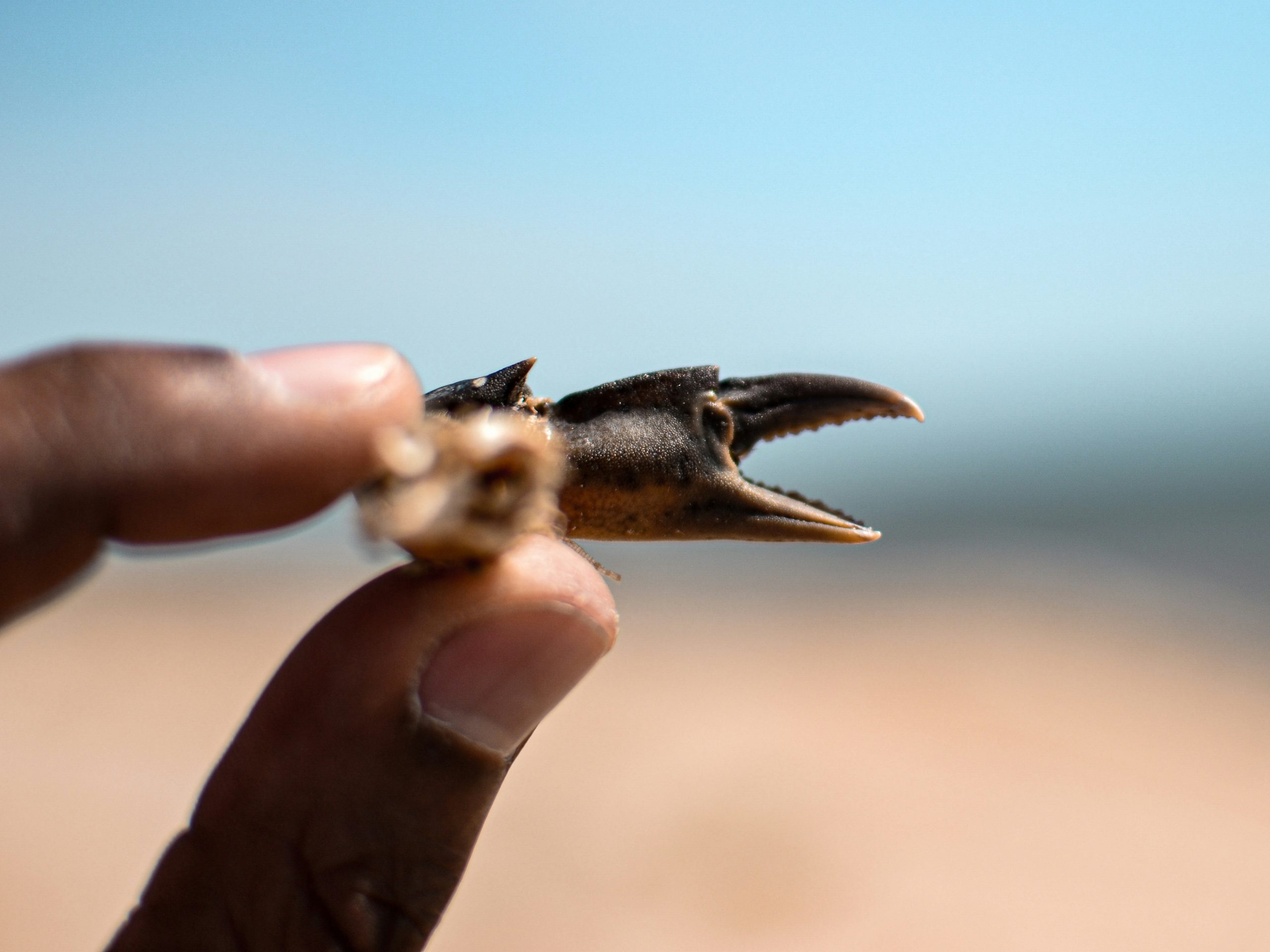 横评主流OpenClaw产品及安全方案